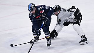 Mächtige Abreibung: Ingolstadt deklassiert Kölner Haie