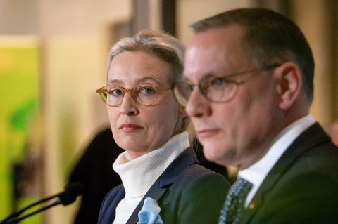 AfD-Chefs zu Verfassungsschutz: Werden uns "juristisch zur Wehr setzen"