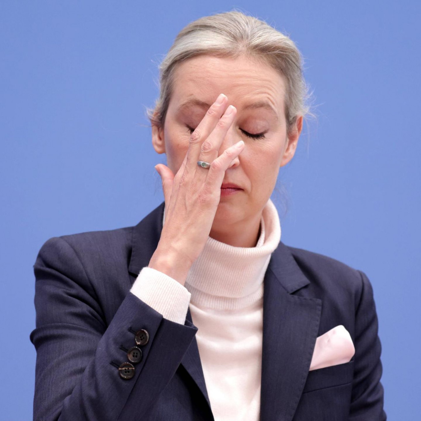 Verfassungsschutz: Gesamte AfD ist gesichert rechtsextremistisch
