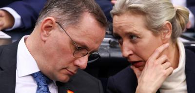 Verfassungsschutz stuft gesamte AfD als gesichert rechtsextremistisch ein