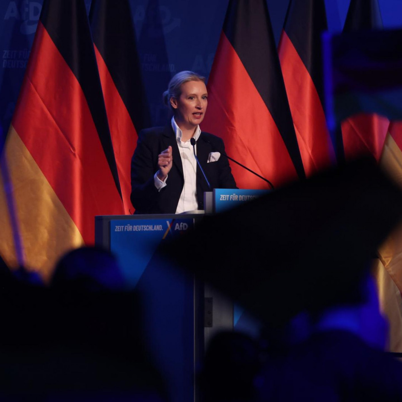 So wird die AfD ganz bestimmt nicht kleiner
