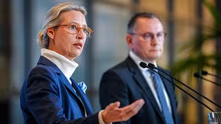Debatte um AfD-Verbotsverfahren nach Verfassungsschutz-Einstufung neu entfacht