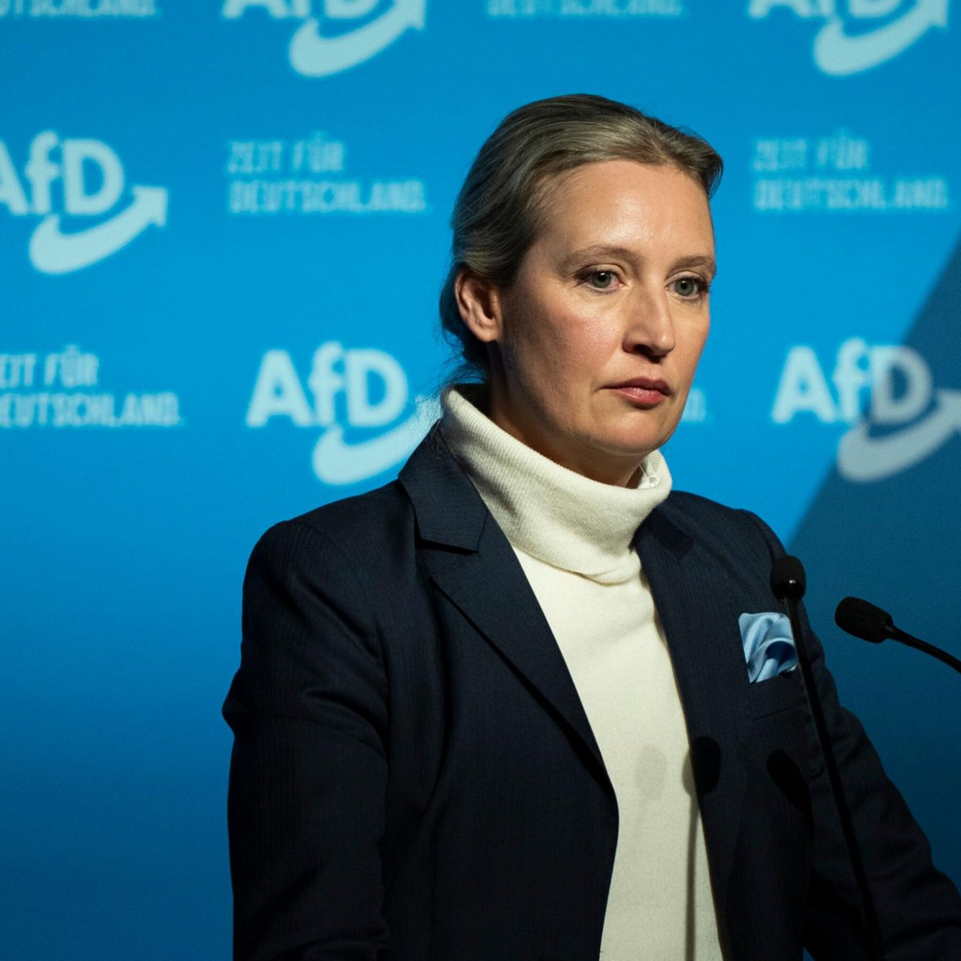 Wie die Deutschen zu einem AfD-Verbot stehen