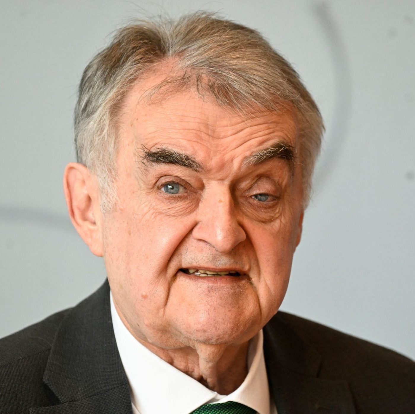 AfD-Mitglieder aus Staatsdienst entfernen? Reul skeptisch