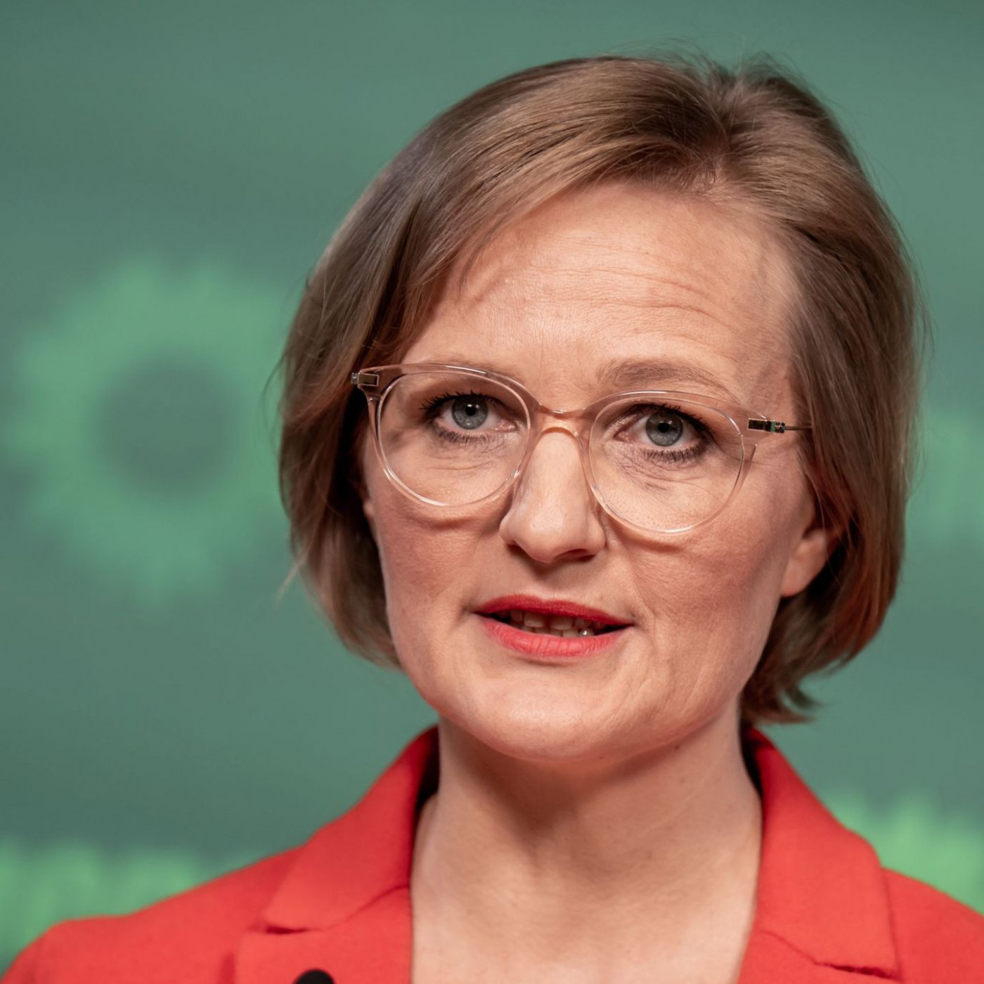 Grünen-Spitze wünscht sich Gespräche über AfD-Verbotsantrag