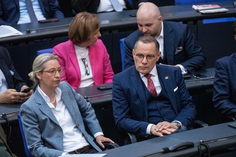 AfD reicht Klage gegen Verfassungsschutz ein