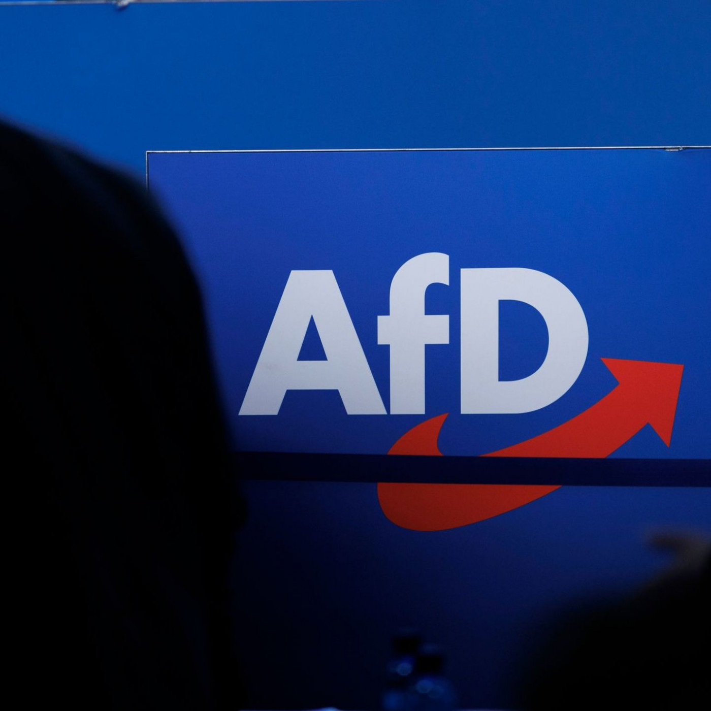 AfD zieht gegen Verfassungsschutz erneut vor Gericht