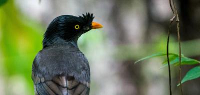 Wo bunte Fische und seltene Vögel sich den Rang ablaufen