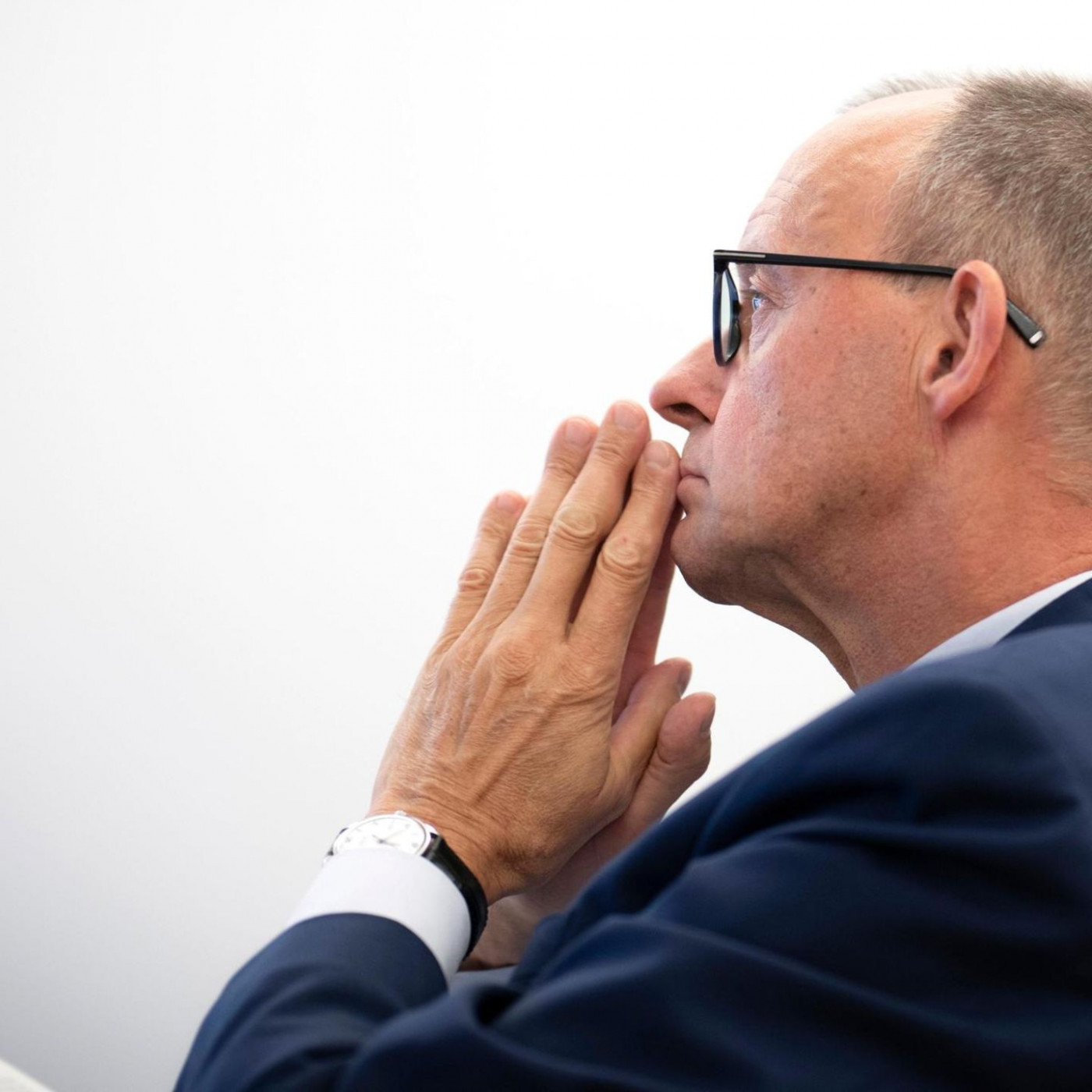 Friedrich Merz, die AfD und die Verbotsfrage