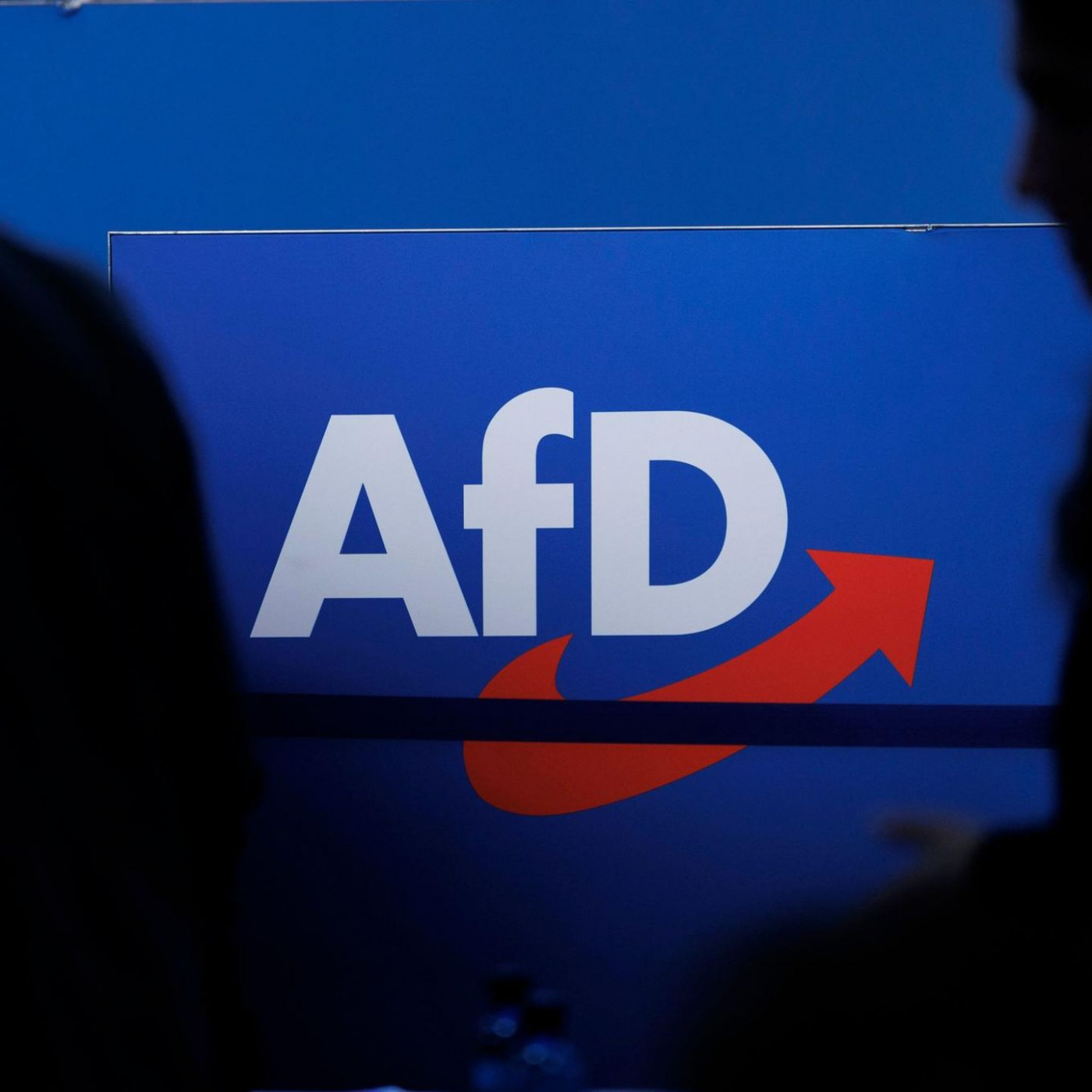 Auch AfD Brandenburg als gesichert rechtsextremistisch eingestuft