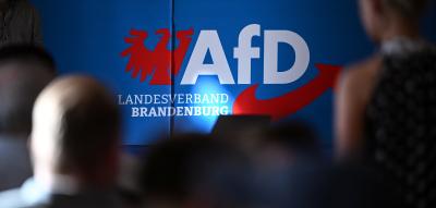 „Ministerin nicht glaubwürdig“ – Brandenburger CDU fordert Akteneinsicht zur AfD-Einstufung