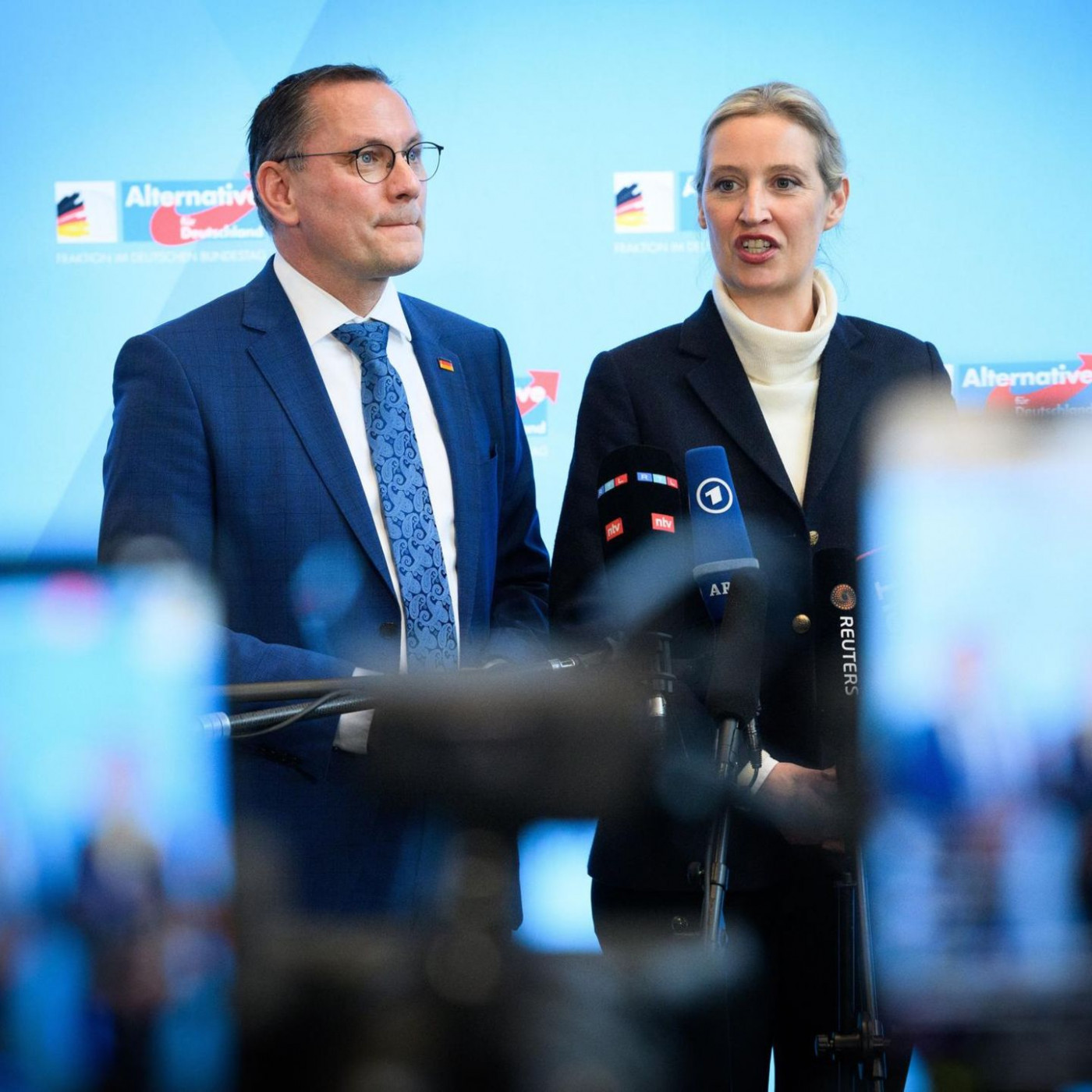 Das schreibt der Verfassungsschutz über die AfD