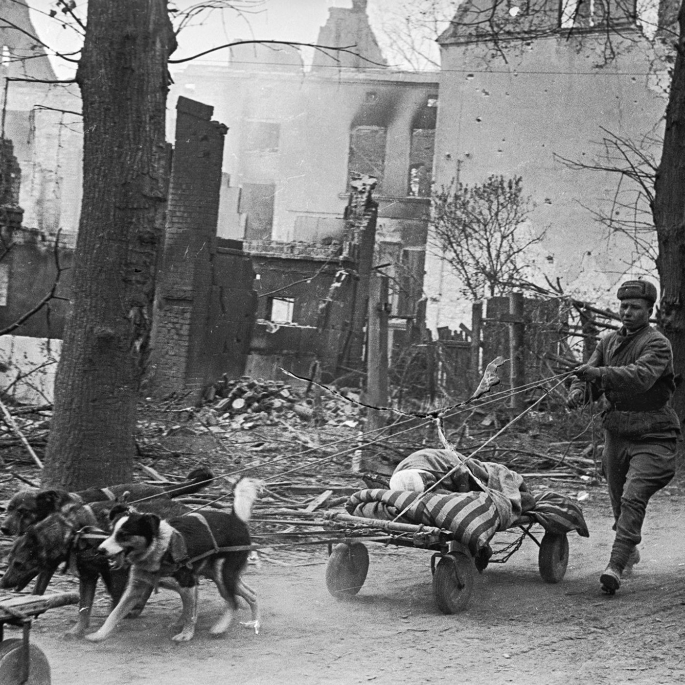 Diese verschollenen Bilder zeigen den Zweiten Weltkrieg aus Sowjetsicht