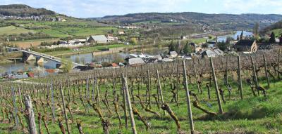 In diesem Dorf wurde Geschichte geschrieben – und noch heute exzellenter Wein gekeltert