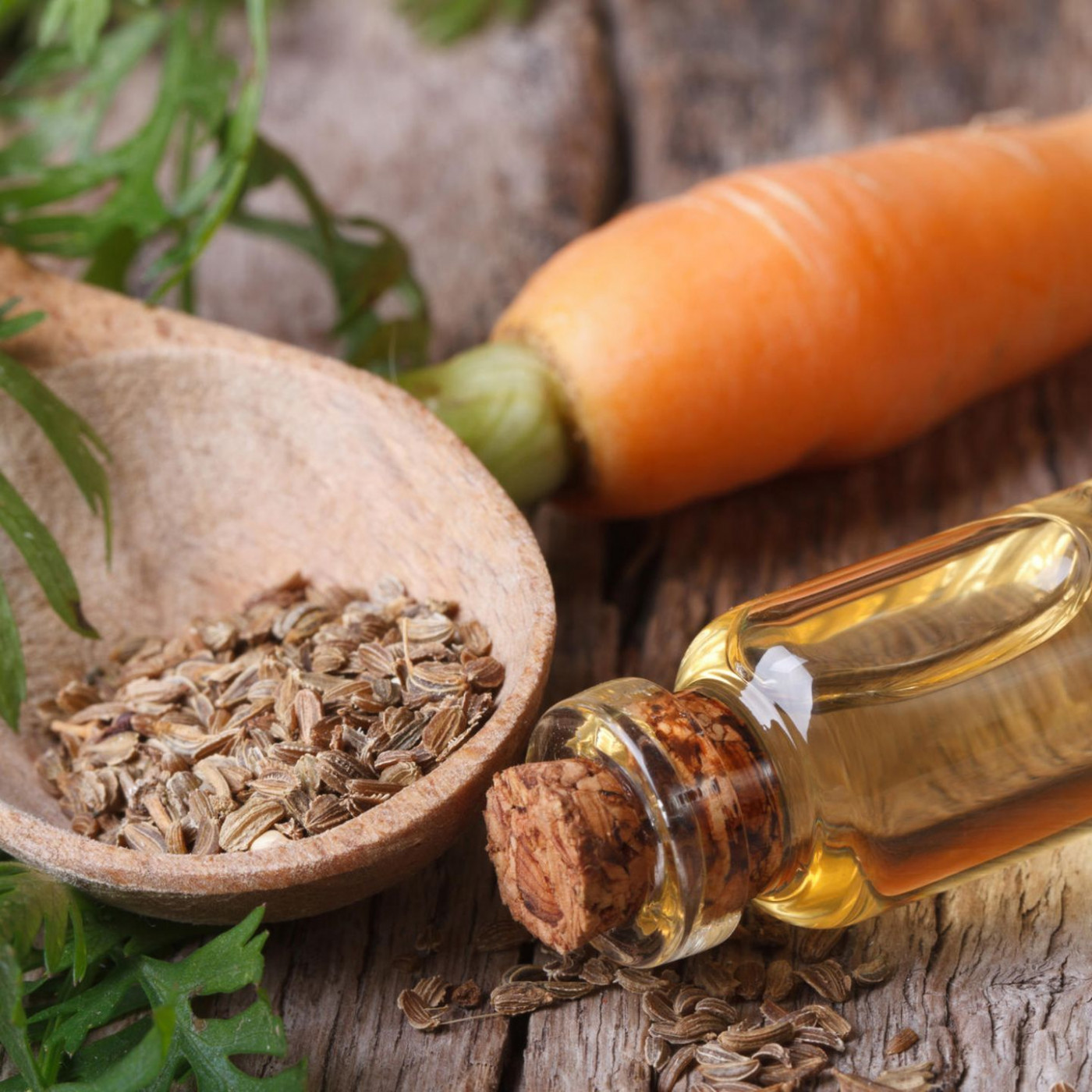 Natürlicher Vitamin-Booster: Karottenöl soll gesunde Haut und Haare fördern