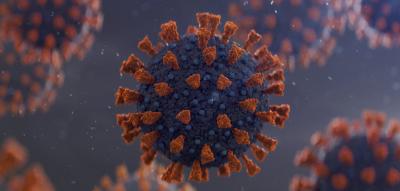 Wildtierhändler verschleppten das Virus vermutlich über Tausende Kilometer