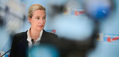 Medien veröffentlichen das geheime AfD-Gutachten