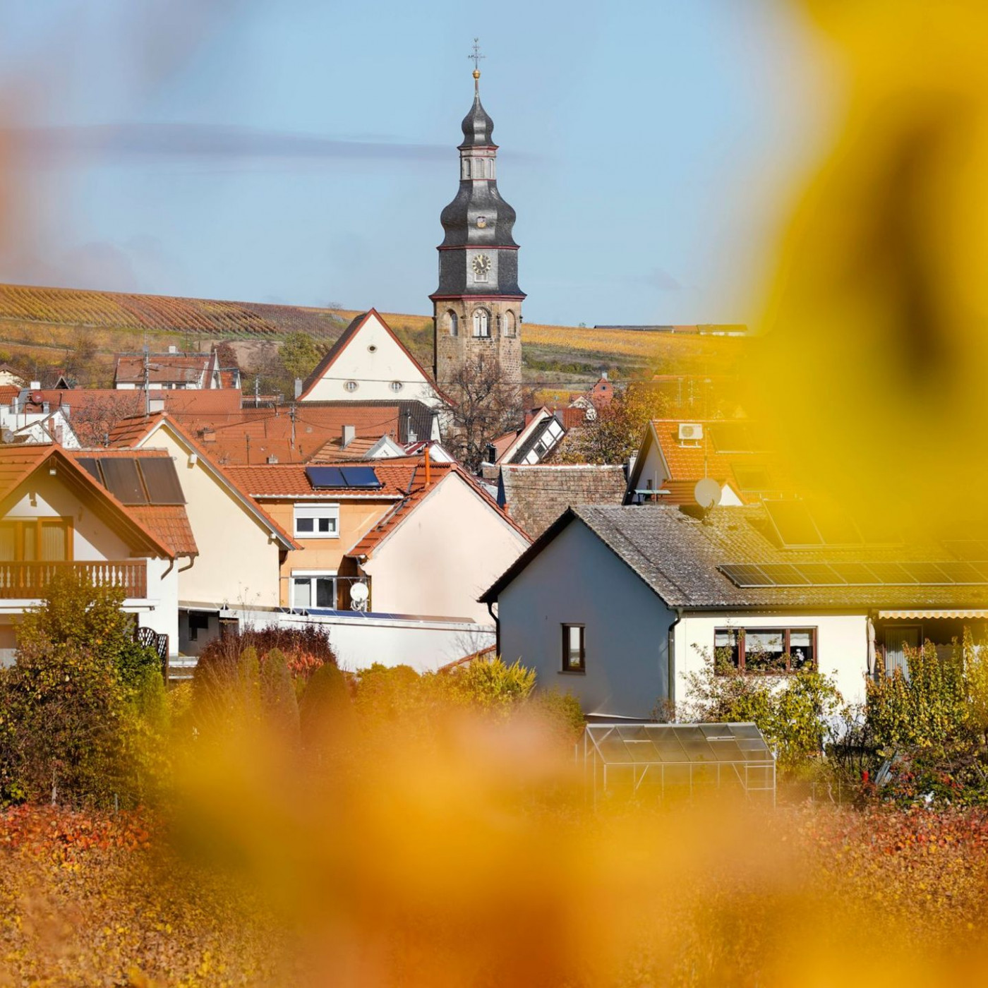 Merz will mit Trump in die Pfalz