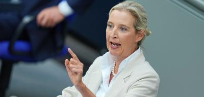 AfD und Linke legen in Baden-Württemberg kräftig zu – CDU und Grüne verlieren