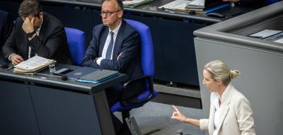 „Zu extrem für die Demokratie?“ – So kommentiert das Ausland die Debatte um ein AfD-Verbot
