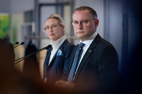 Interne Aufräumaktion – das steckt hinter der neuen Russland-Strategie der AfD