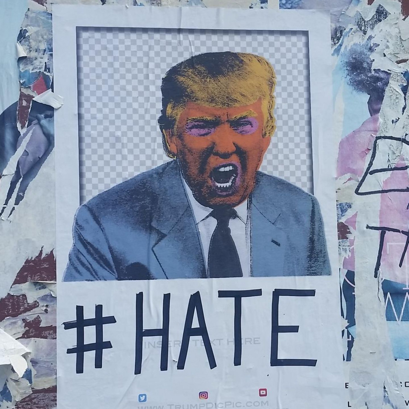 Ich habe selbst in Harvard geforscht – so erkläre ich mir den Hass von Trump