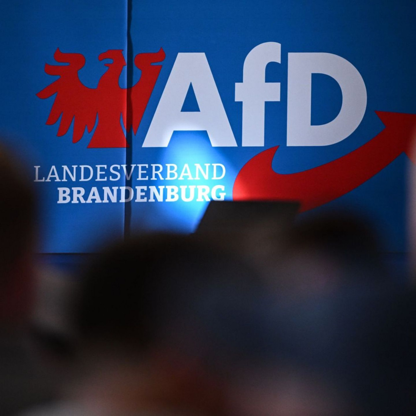Brandenburger Verfassungsschutz setzt AfD-Hochstufung aus