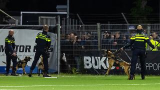 Üble Fußballfan-Massenschlägerei schockt die Niederlande