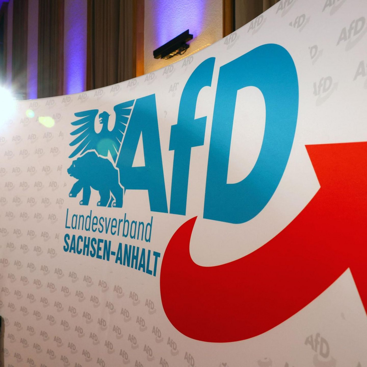 Erste Bundesländer prüfen Waffenentzug für AfD-Mitglieder