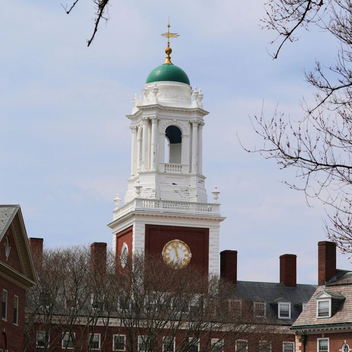 Trump-Regierung will Harvard Millionen Dollar streichen