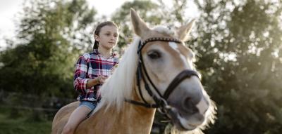 Reitunterricht für Schulklassen und Hobby-Sportler wird nicht von Umsatzsteuer befreit
