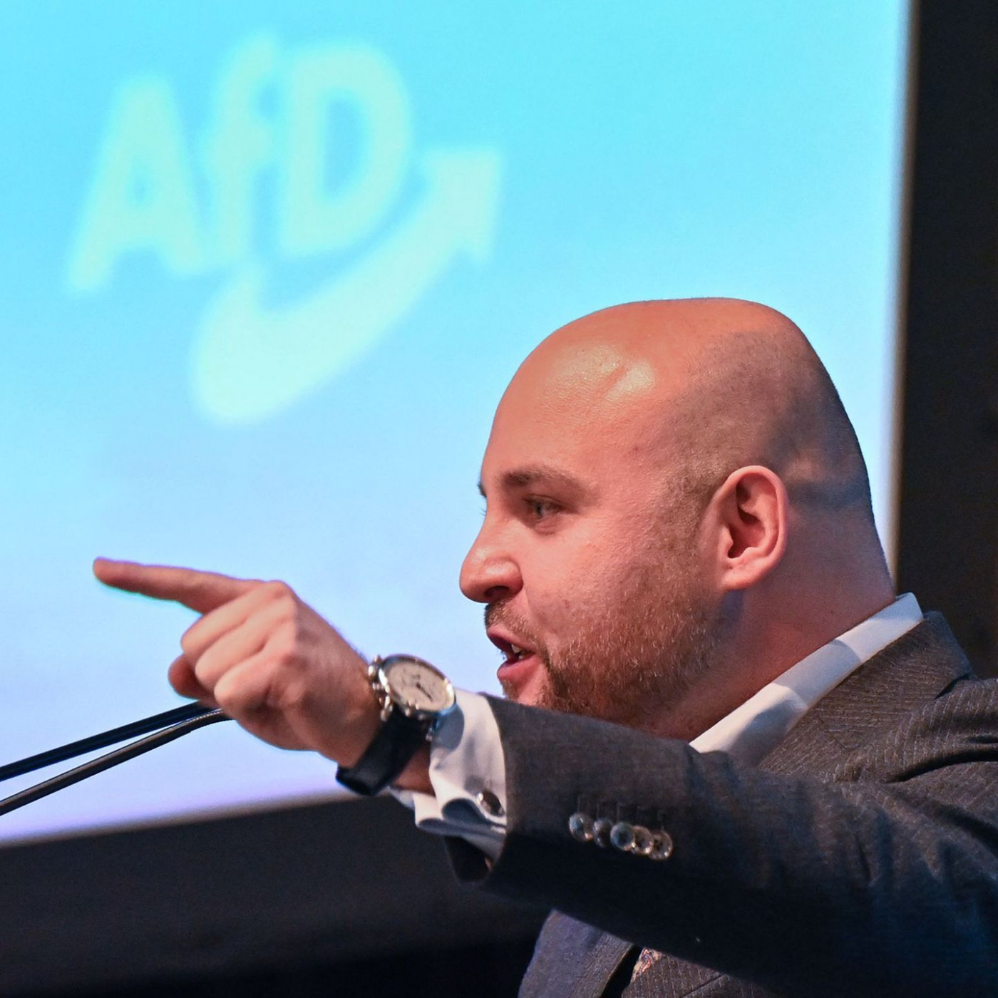 Frohnmaier ist Spitzenkandidat der AfD in Baden-Württemberg