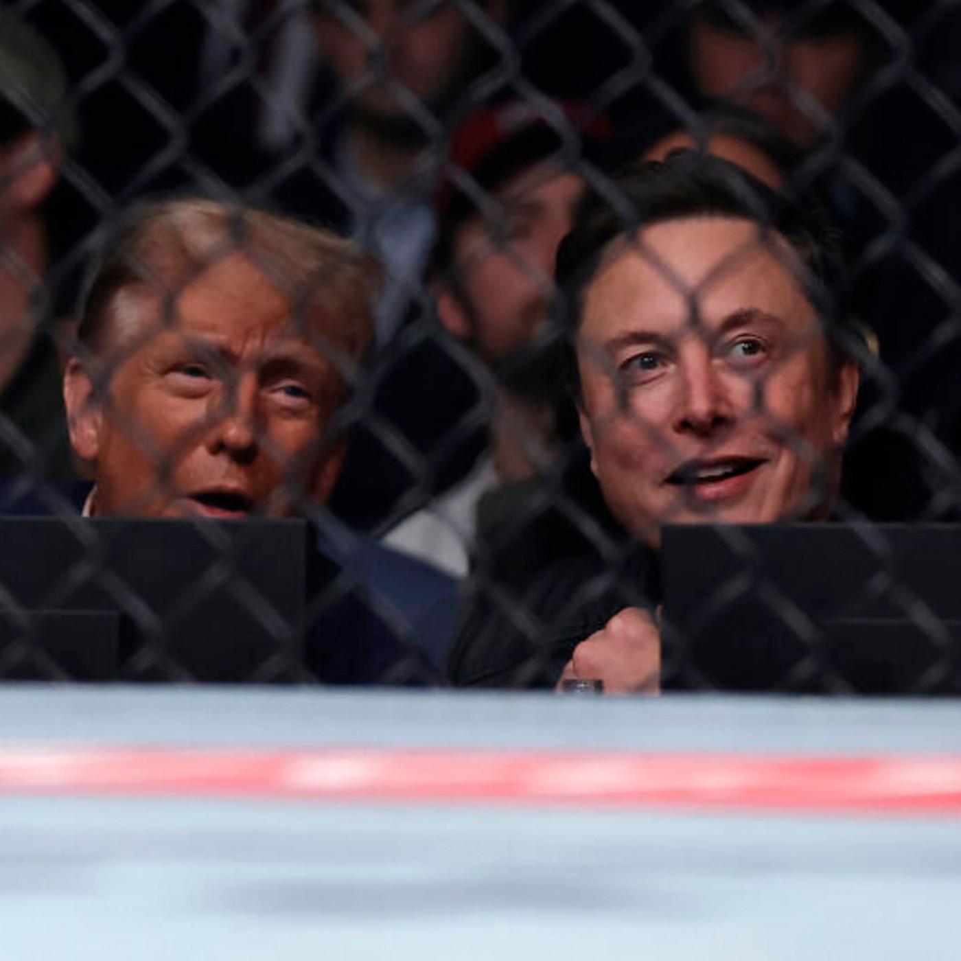 Die bizarrsten Auftritte von Elon Musk als Trumps "Best Buddy"