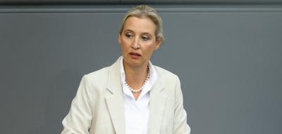 Politikerbeleidigungen – Alice Weidel nutzt umstrittenen Paragrafen 188