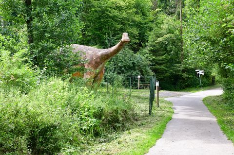 Heide, Meer, Saurier: Neun Zufluchten in Niedersachsen