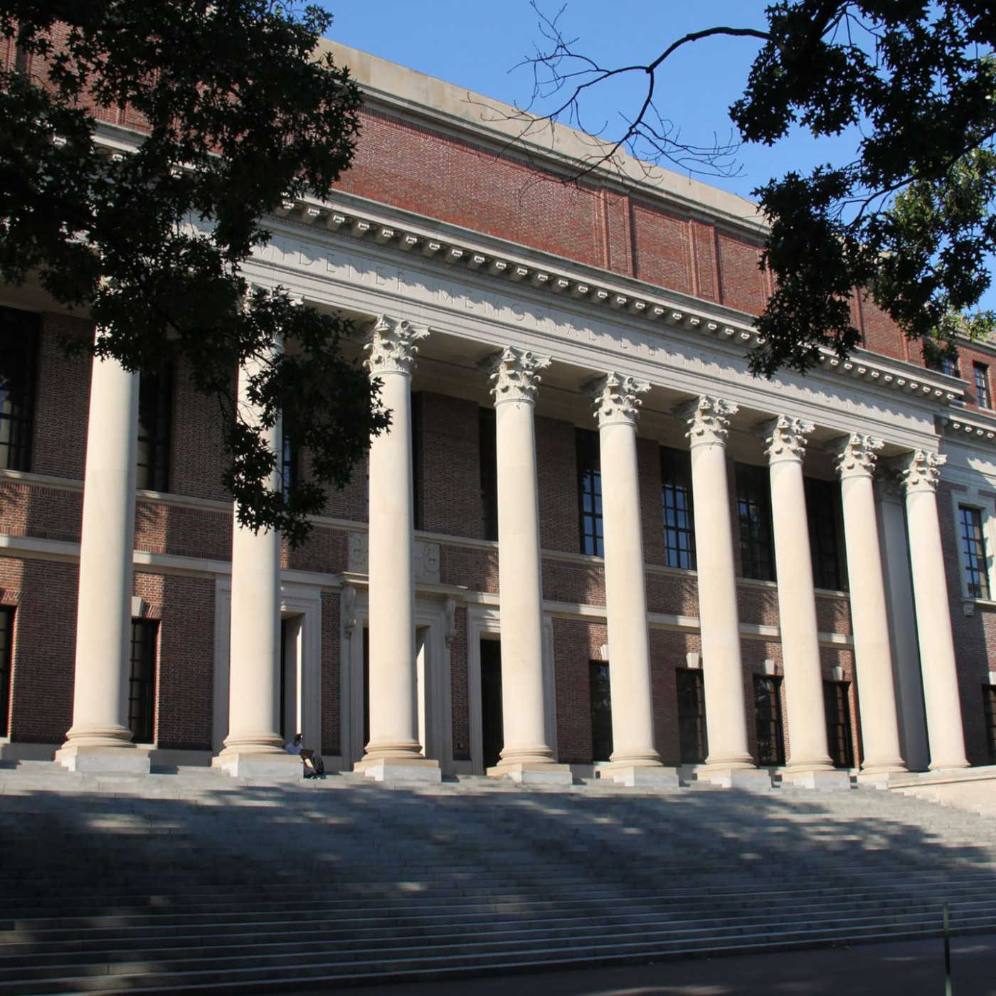Harvard-Uni: Trump will Ausländern Einreise für Studium verwehren