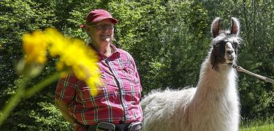 Urban Hiking und Lama-Touren – Wo NRW zum Wanderparadies wird