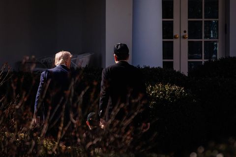 Trump vs. Musk – die lange Geschichte einer plötzlichen Entfremdung