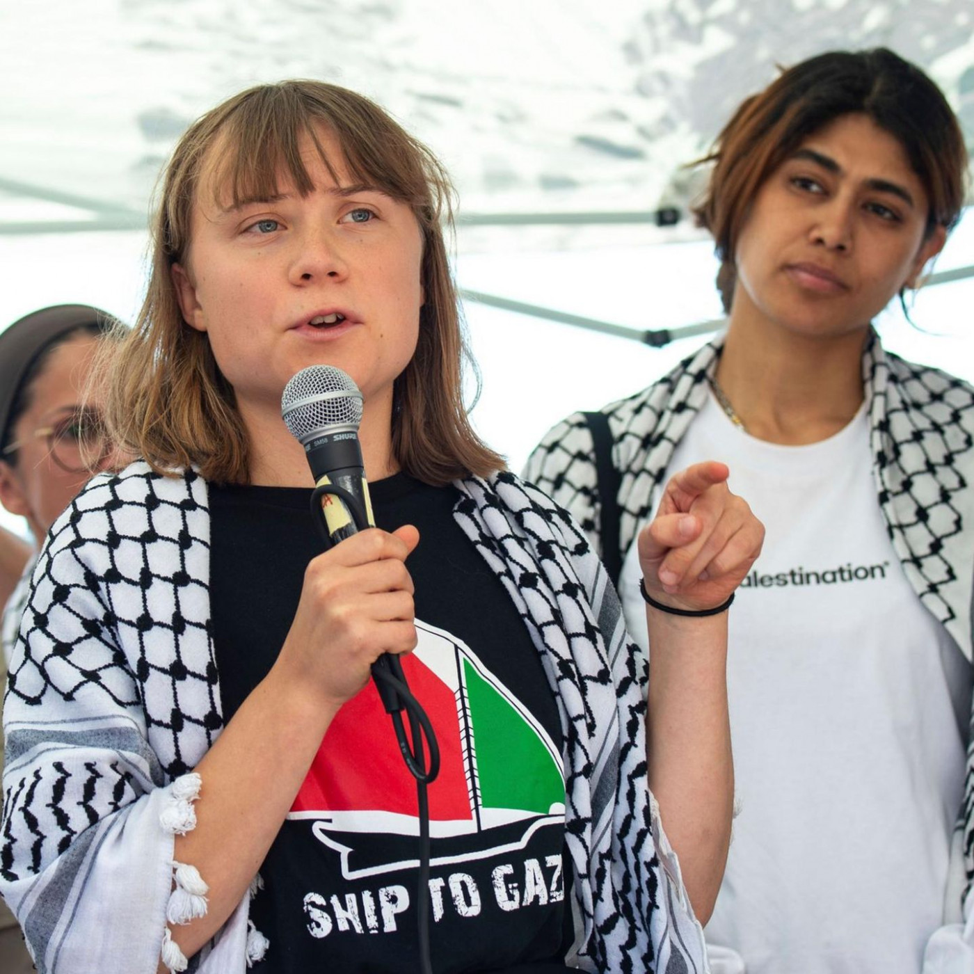 "An Greta, die Antisemitin: Dreht um, ihr werdet niemals ankommen"