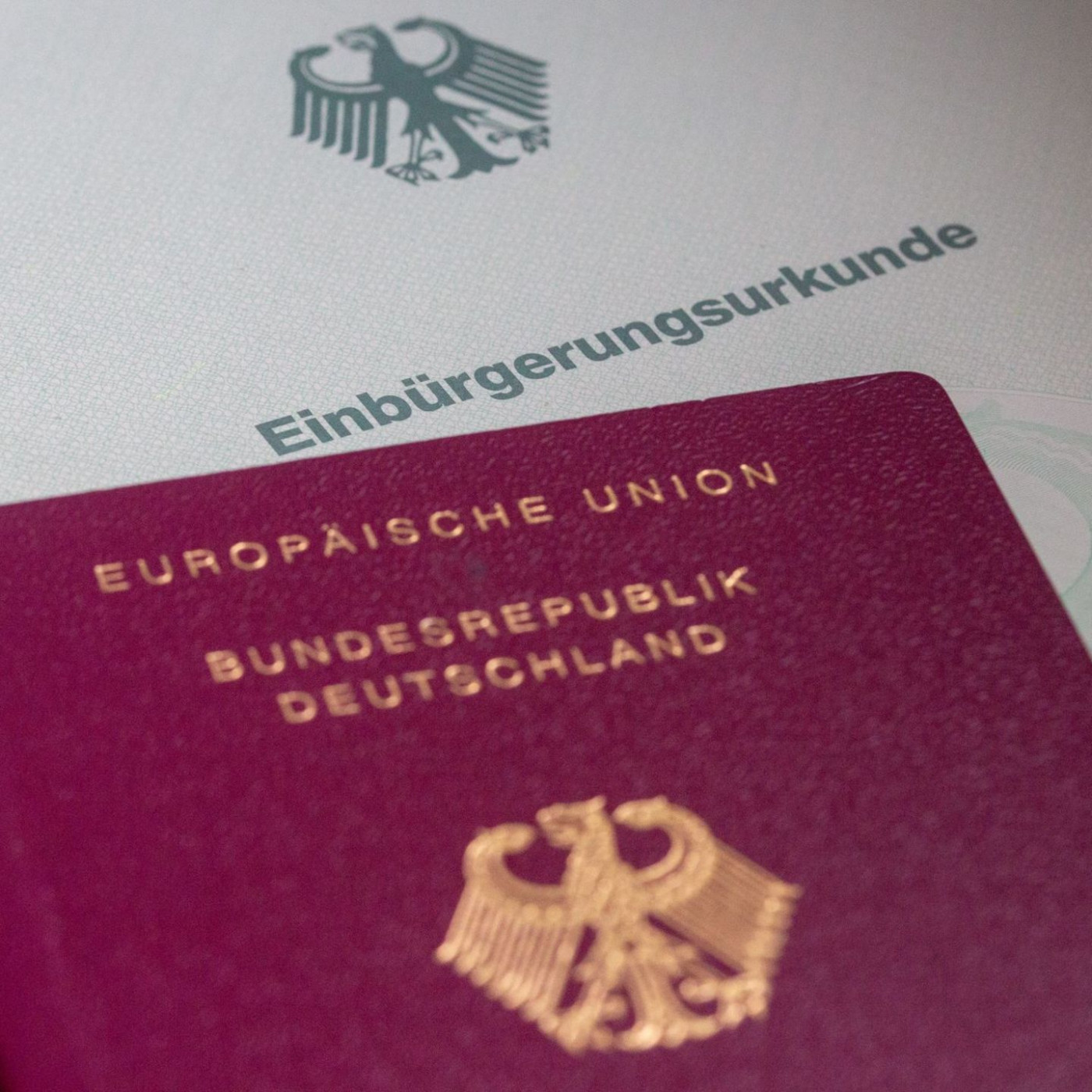 Zahl der Einbürgerungen steigt auf Höchststand
