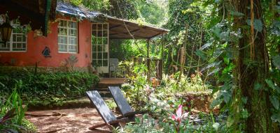 Sierra Leone, völlig zu Unrecht ein weißer Fleck auf der Landkarte des Ökotourismus