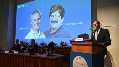 Zwei US-Genforscher erhalten Medizin-Nobelpreis