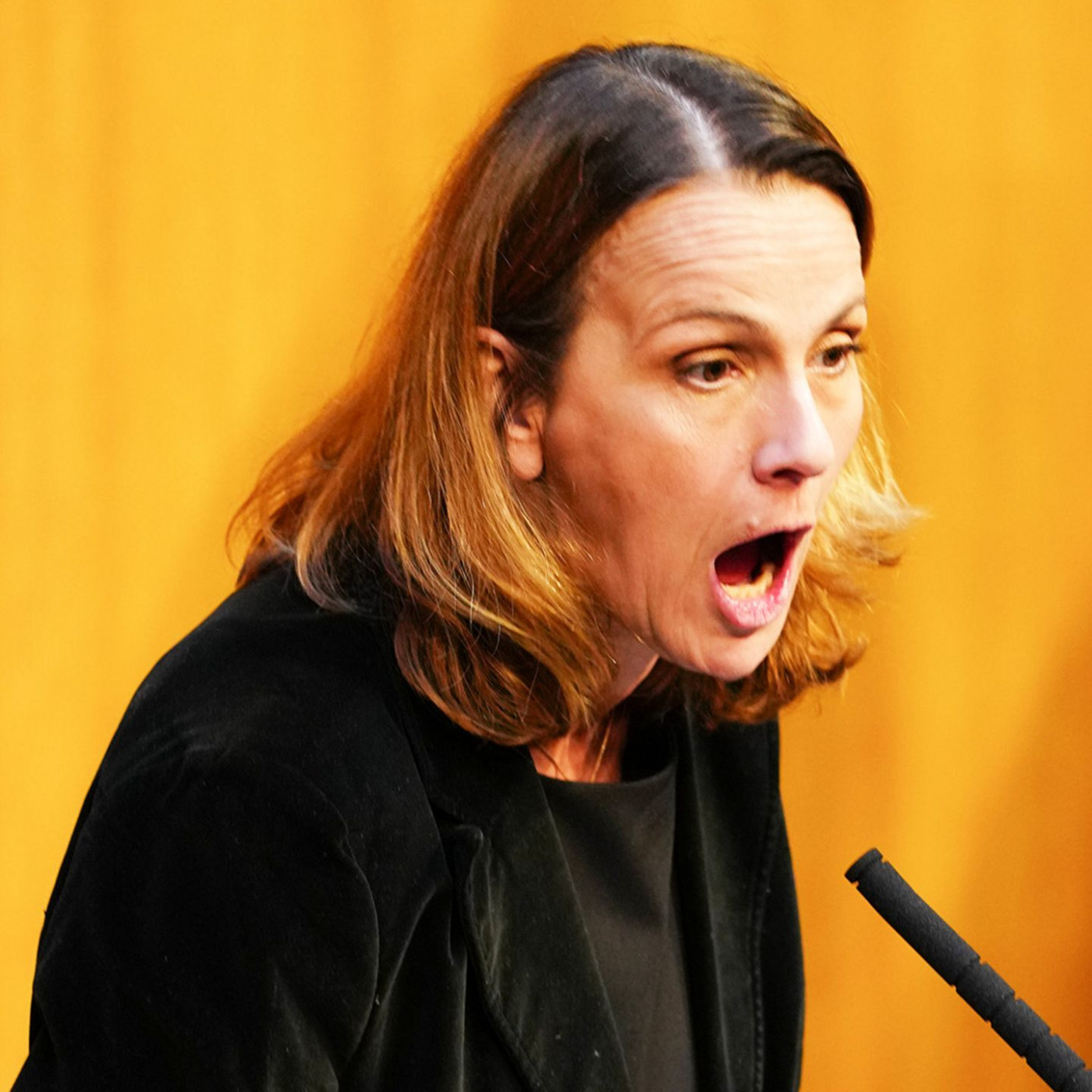 FPÖ-Abgeordnete sorgt mit Zwischenruf im Parlament für Eklat
