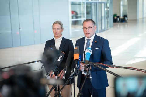 Das peinliche Trump-Dilemma der AfD