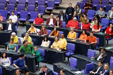Linke und Grüne bilden Regenbogen im Bundestag