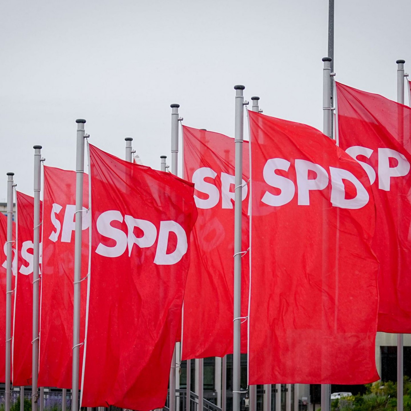 SPD-Politiker: AfD-Verbotsverfahren ernsthaft prüfen