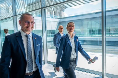 AfD-Chefs Alice Weidel und Tino Chrupalla bekommen deutlich mehr Geld