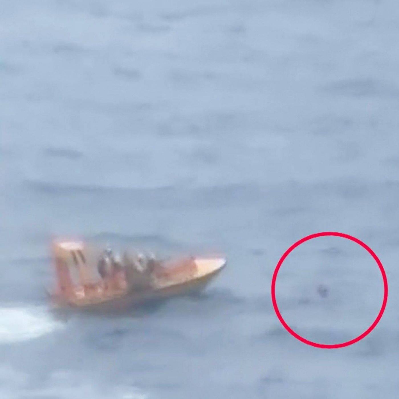 Kind fällt von Kreuzfahrtschiff – Vater springt hinterher