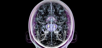 Dieses Symptom deutet Jahrzehnte im Voraus auf Parkinson hin