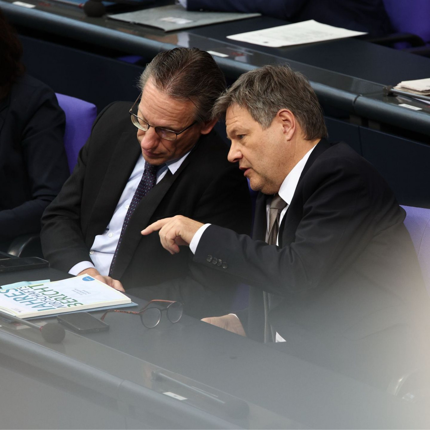 Habeck will Gastprofessor im Ausland werden